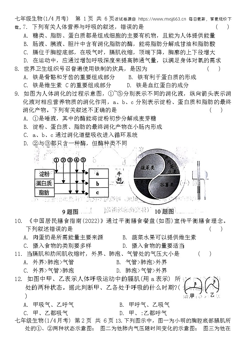 41，山东省菏泽市牡丹区多校2023-2024学年七年级下学期3月份月考生物试题第2页