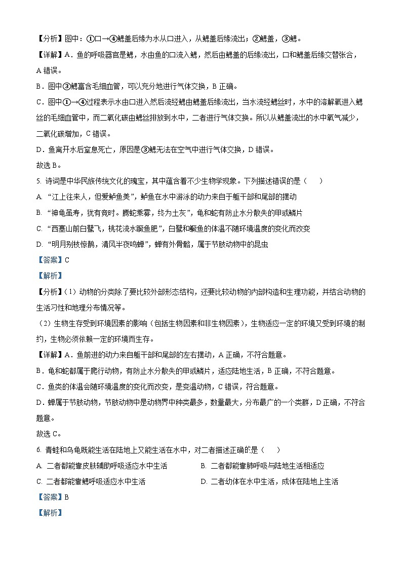 59，安徽省六安市第九中学2023-2024学年八年级上学期期中生物试题第3页