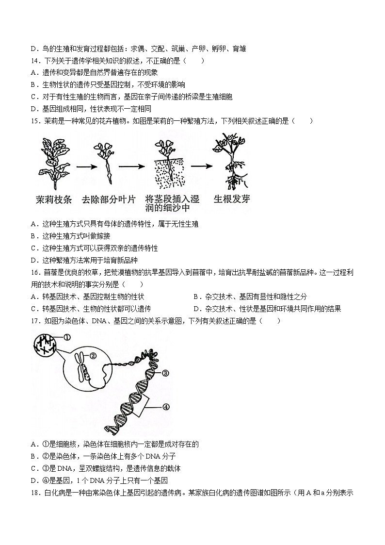 137，河南省南阳市唐河县2023-2024学年八年级上学期期末生物试题03