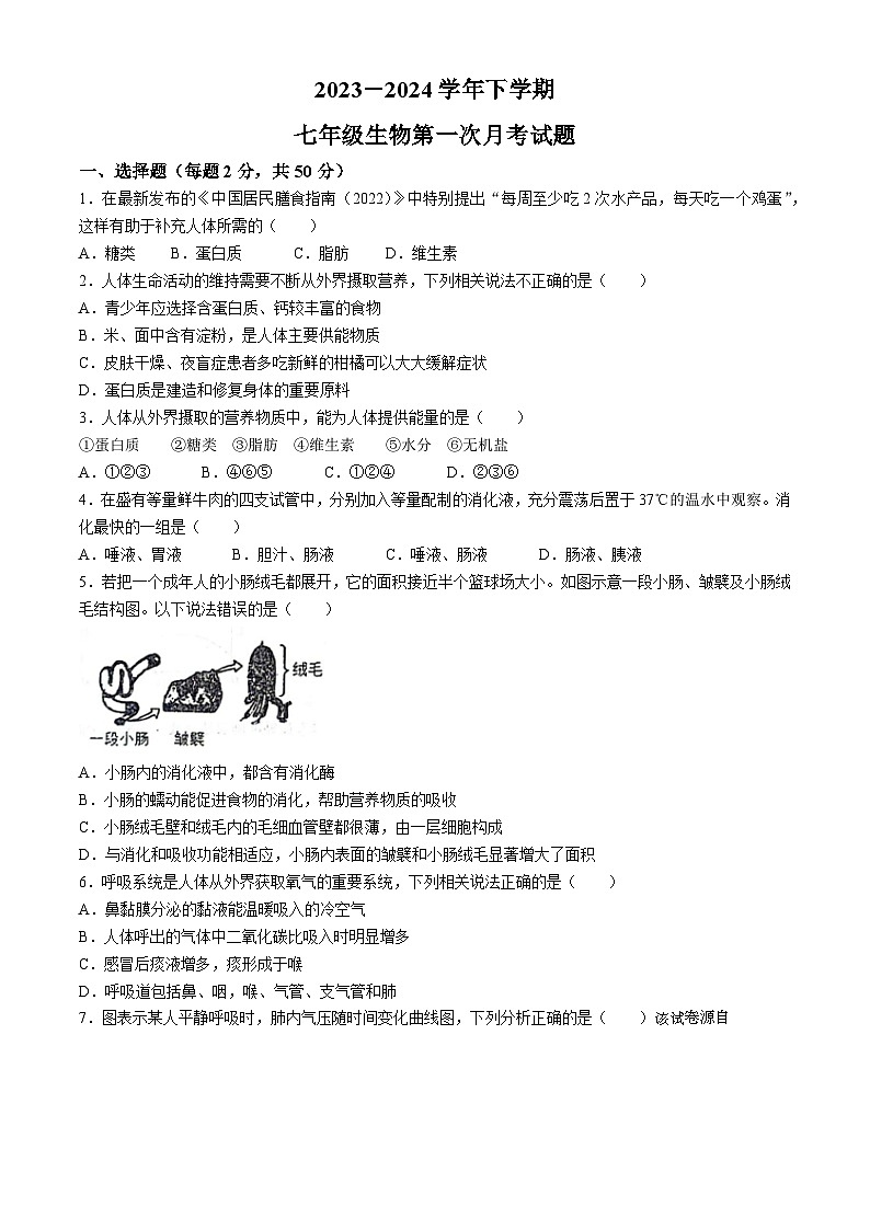 01，山东省德州市宁津县育新中学2023-2024学年七年级下学期3月月考生物试题(无答案)第1页