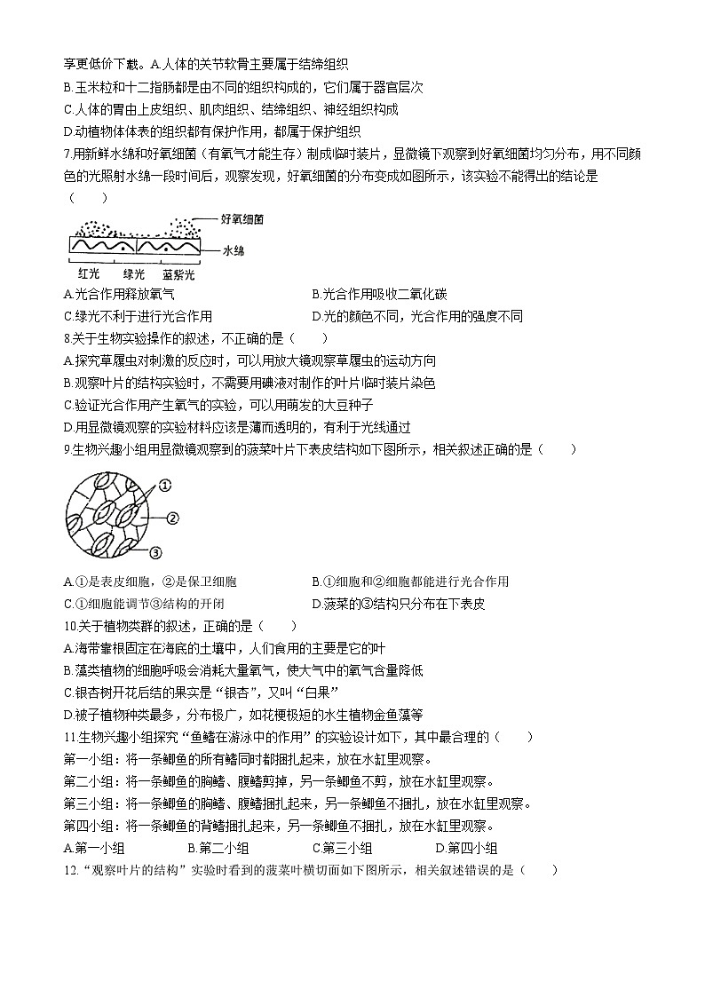 93，江苏省南通市第一初级中学2023-2024学年七年级下学期3月月考生物试题(无答案)第2页