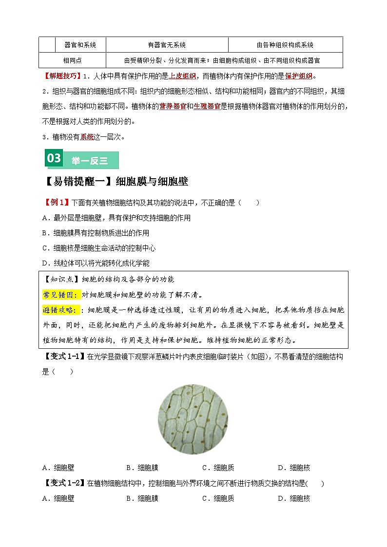 易错点03 生物体的构成-备战2024年中考生物易错题（全国通用）03