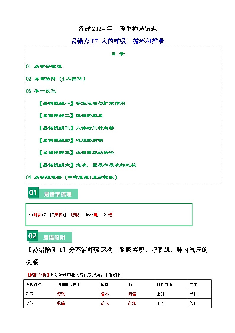 易错点07 人的呼吸、循环和排泄-备战2024年中考生物易错题（全国通用）01