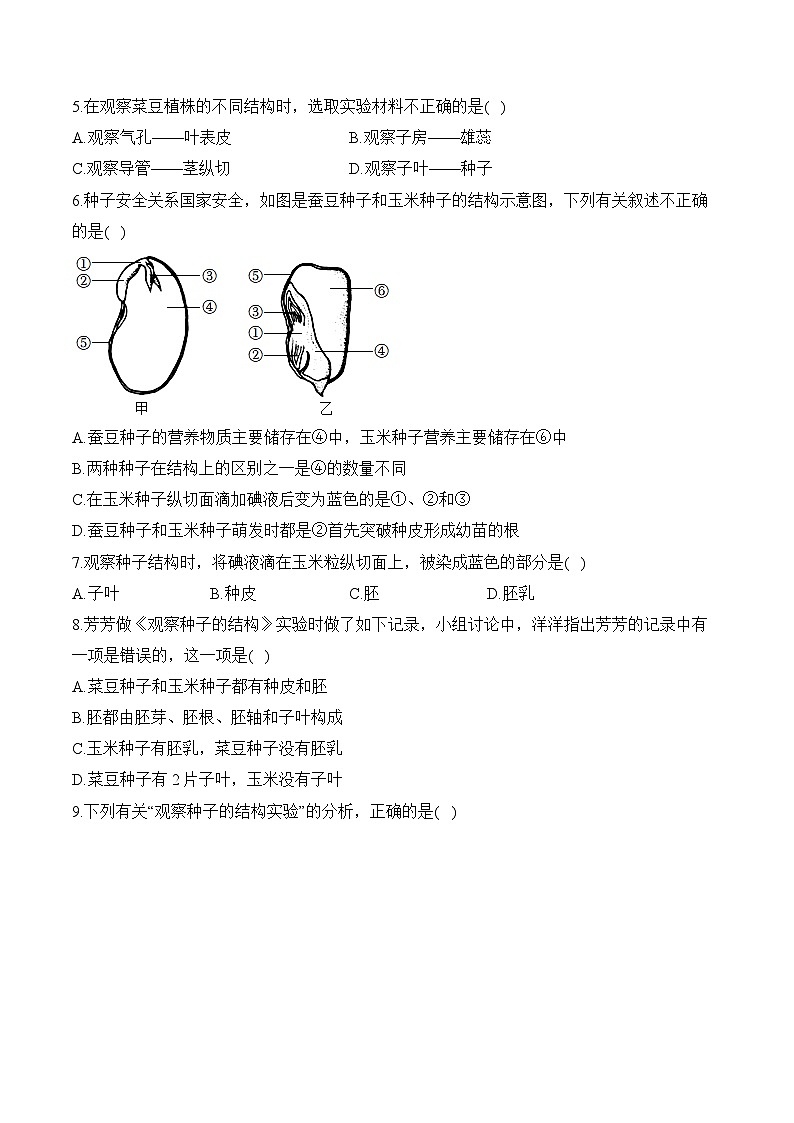 2024年中考生物二轮复习重点实验通关练——实验四 观察种子的结构第2页