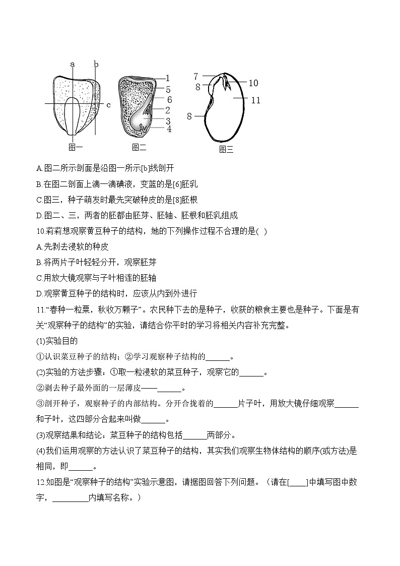 2024年中考生物二轮复习重点实验通关练——实验四 观察种子的结构第3页