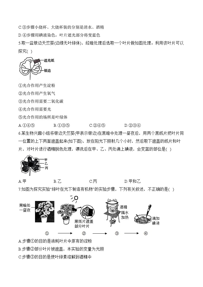 2024年中考生物二轮复习重点实验通关练——实验八 探究绿叶在光下制造有机物第2页