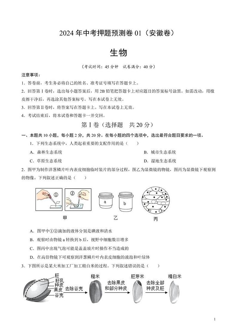2024年中考押题预测卷01（安徽卷）生物（考试版）第1页