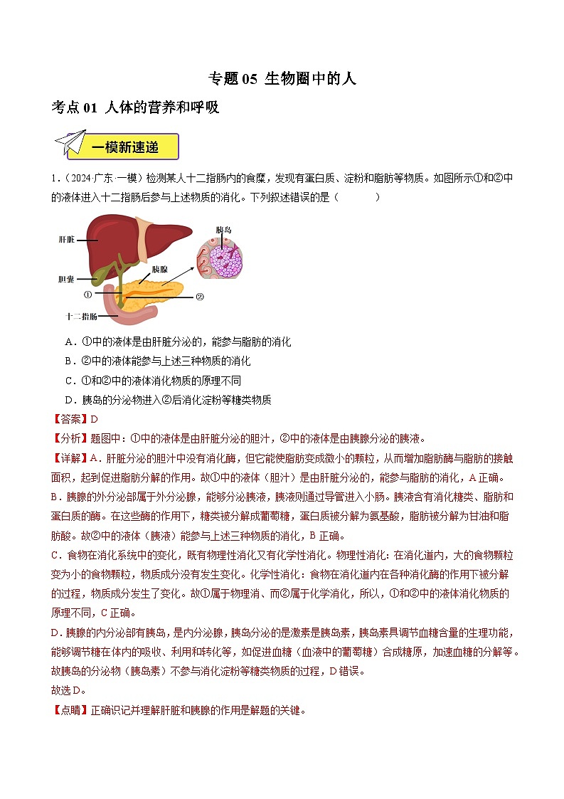 2024年广东省中考生物一模试题分类汇编-专题05 生物圈中的人（解析版）第1页