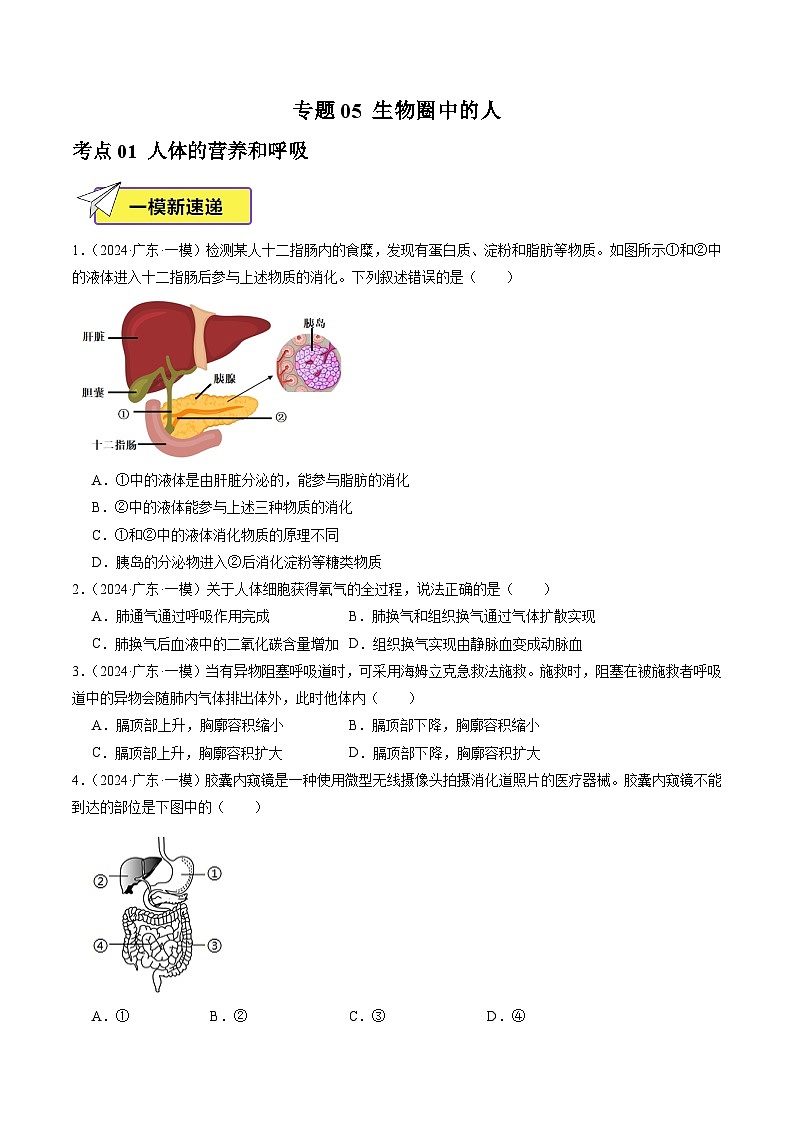 2024年广东省中考生物一模试题分类汇编-专题05 生物圈中的人（原卷版）第1页