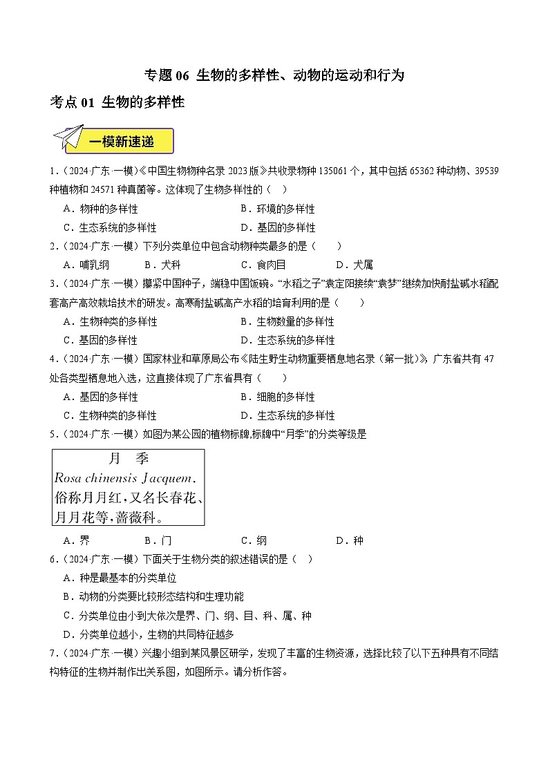 2024年广东省中考生物一模试题分类汇编-专题06 生物的多样性、动物的运动和行为（原卷版）第1页