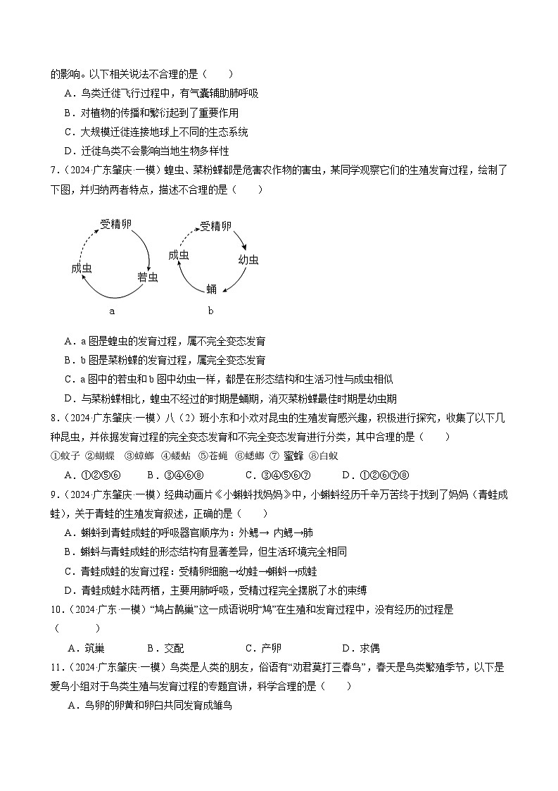 2024年广东省中考生物一模试题分类汇编-专题07 生物的生殖和发育（原卷版+解析版）02