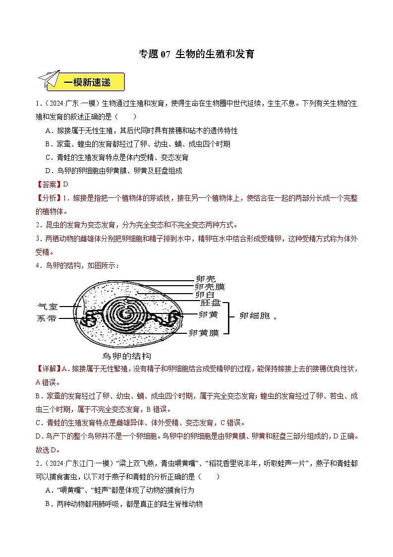 2024年广东省中考生物一模试题分类汇编-专题07 生物的生殖和发育（原卷版+解析版）01