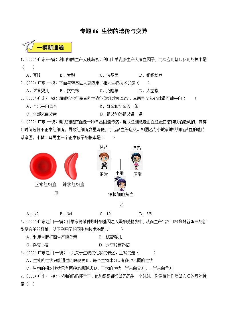 2024年广东省中考生物一模试题分类汇编-专题08 生物的遗传与变异（原卷版）第1页