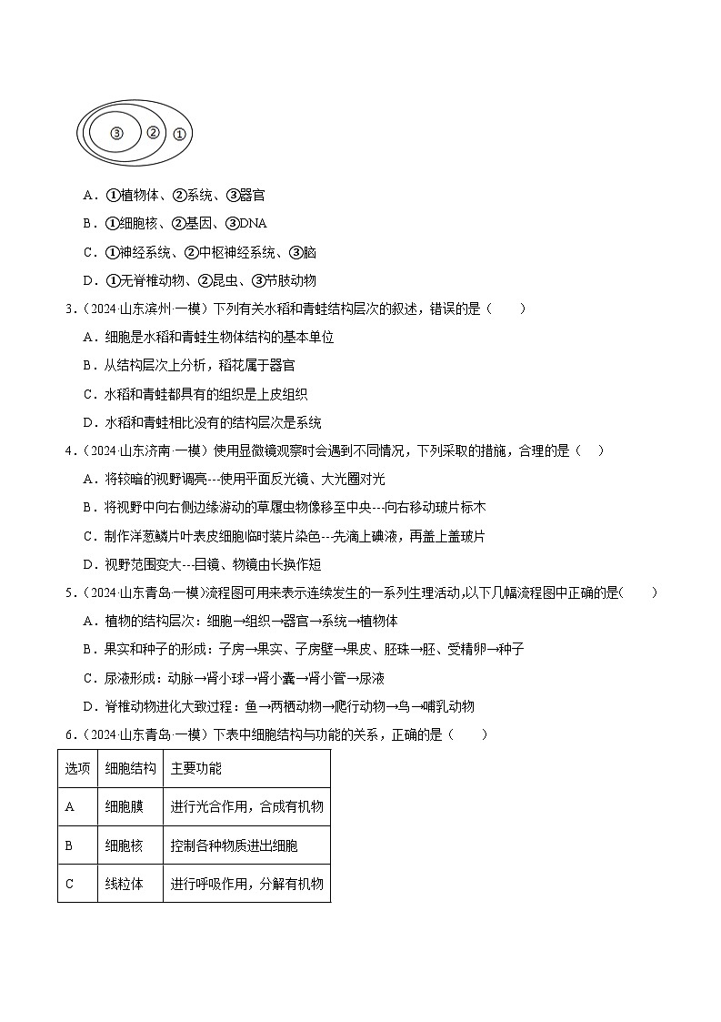 2024年山东省中考生物一模试题分类汇编-专题02 生物体的结构层次（原卷版）第2页
