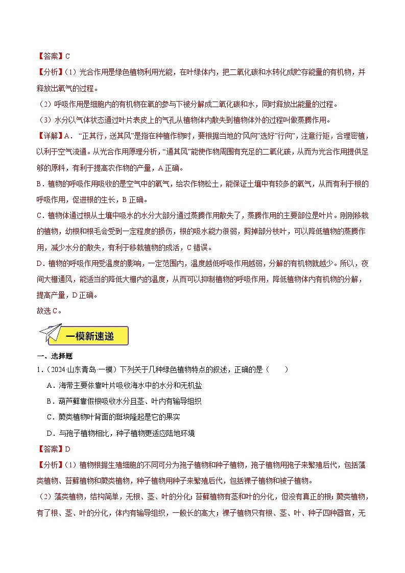 2024年山东省中考生物一模试题分类汇编-专题03 生物圈中的绿色植物（解析版）第2页