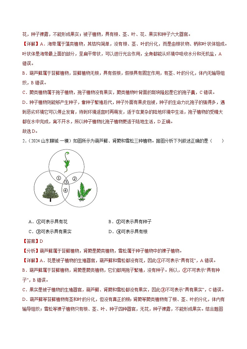 2024年山东省中考生物一模试题分类汇编-专题03 生物圈中的绿色植物（解析版）第3页