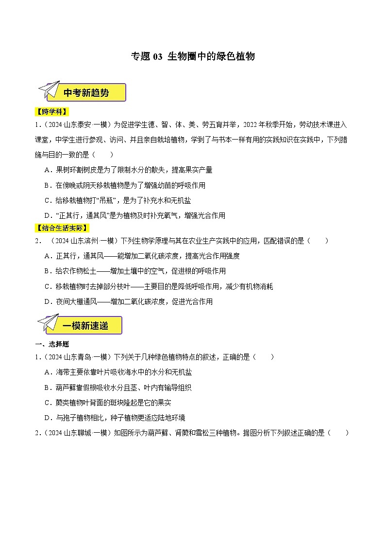 2024年山东省中考生物一模试题分类汇编-专题03 生物圈中的绿色植物（原卷版）第1页