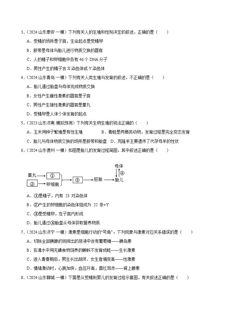 2024年山东省中考生物一模试题分类汇编-专题04 人的由来（原卷版）第2页