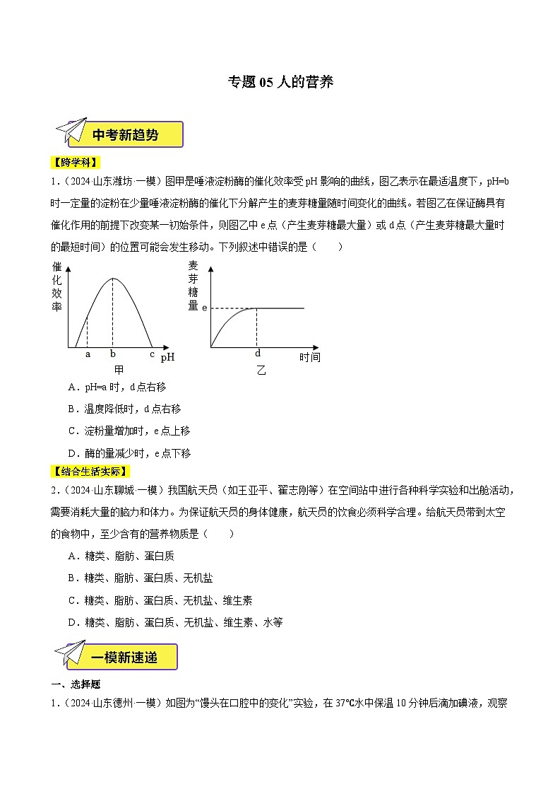2024年山东省中考生物一模试题分类汇编-专题05 人的营养（原卷版+解析版）01