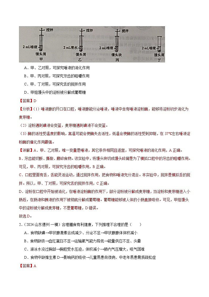 2024年山东省中考生物一模试题分类汇编-专题05 人的营养（原卷版+解析版）03
