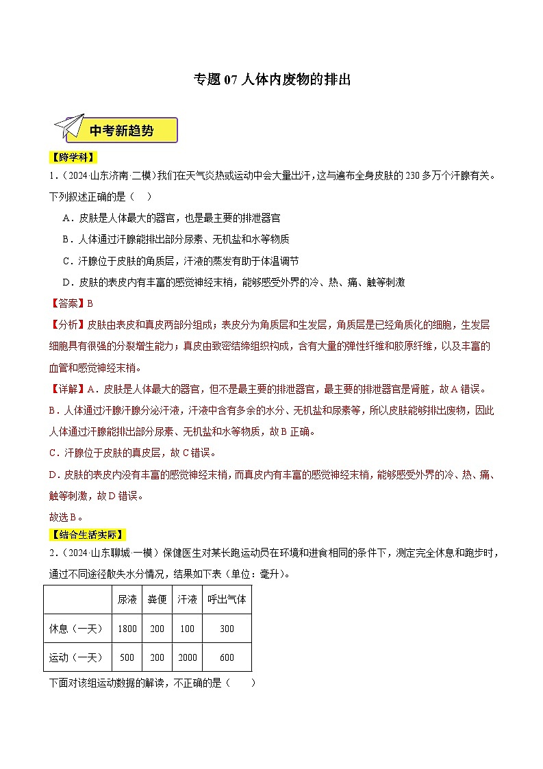 2024年山东省中考生物一模试题分类汇编-专题07 人体内废物的排出（原卷版+解析版）01