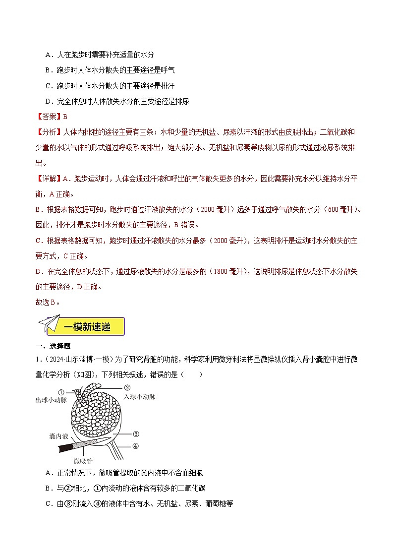 2024年山东省中考生物一模试题分类汇编-专题07 人体内废物的排出（原卷版+解析版）02