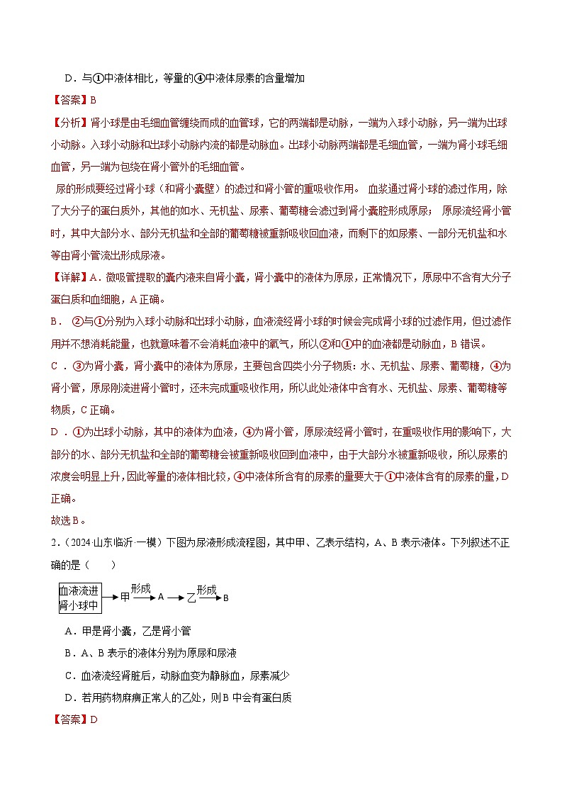 2024年山东省中考生物一模试题分类汇编-专题07 人体内废物的排出（原卷版+解析版）03