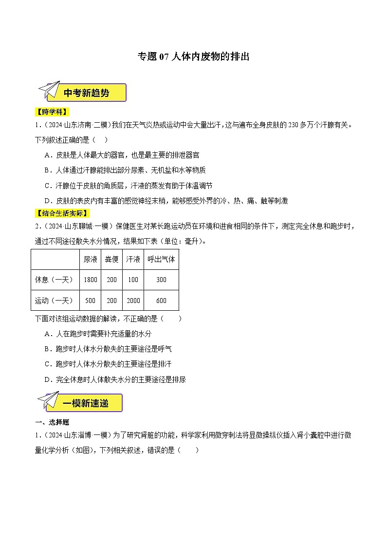 2024年山东省中考生物一模试题分类汇编-专题07 人体内废物的排出（原卷版+解析版）01
