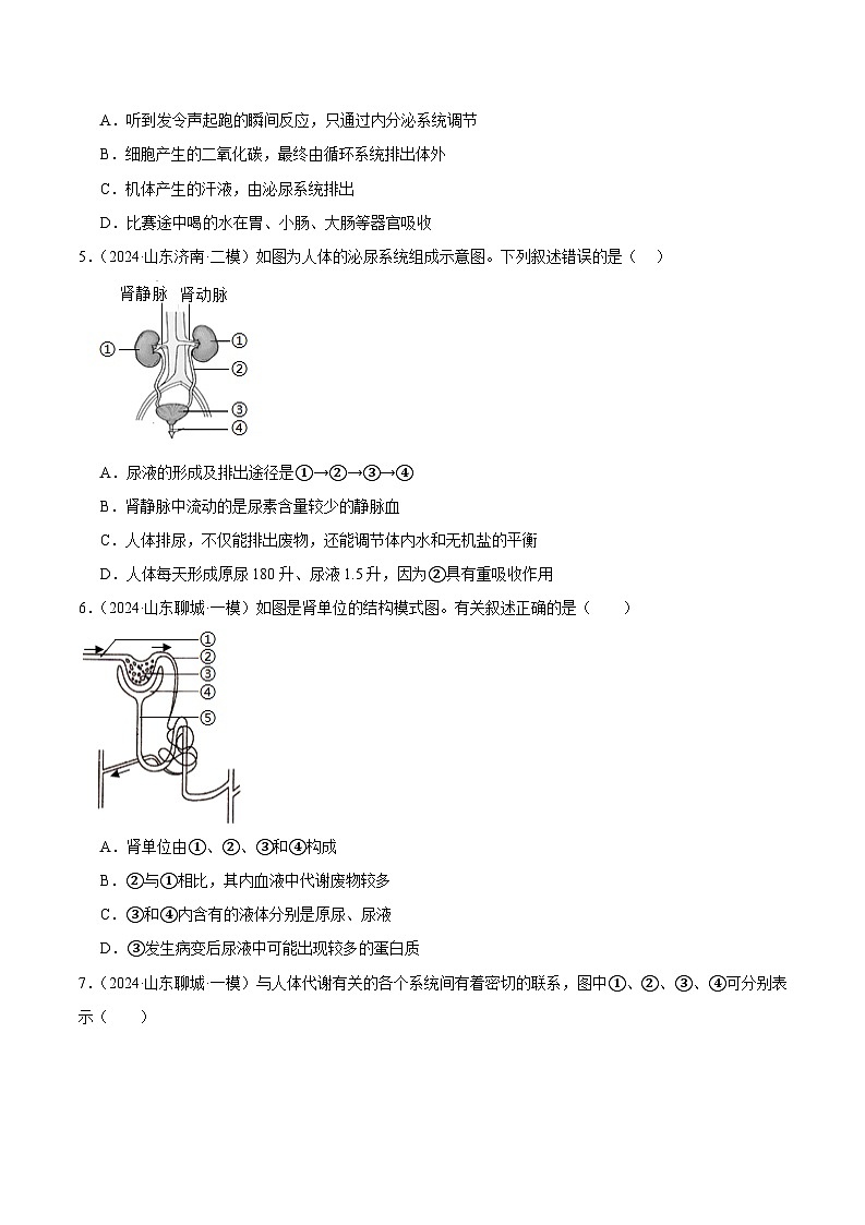 2024年山东省中考生物一模试题分类汇编-专题07 人体内废物的排出（原卷版+解析版）03