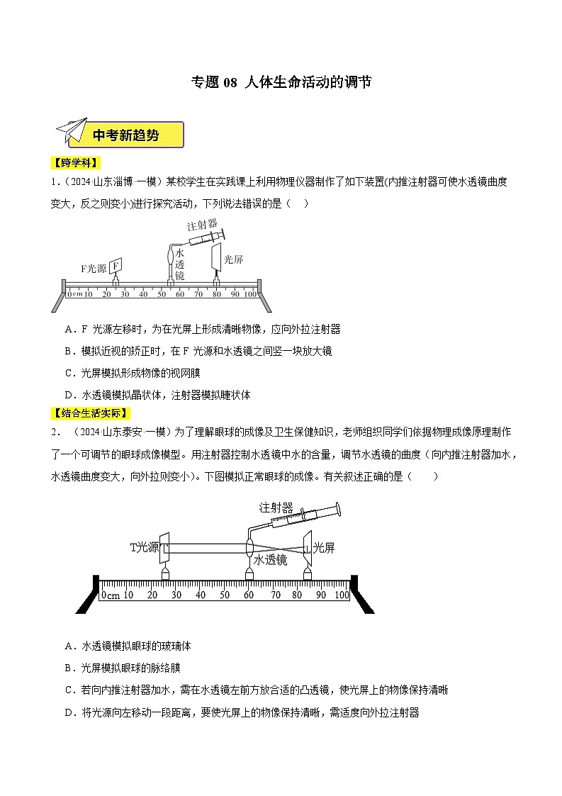 2024年山东省中考生物一模试题分类汇编-专题08 人体生命活动的调节（原卷版+解析版）01