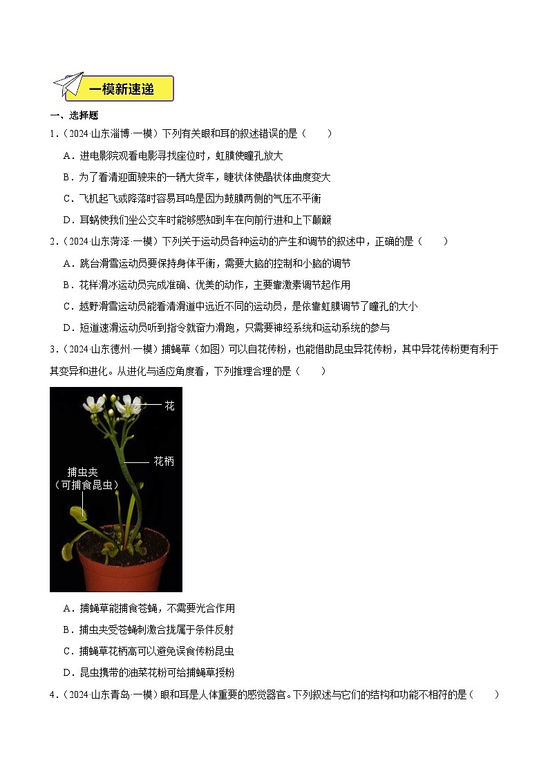 2024年山东省中考生物一模试题分类汇编-专题08 人体生命活动的调节（原卷版+解析版）02