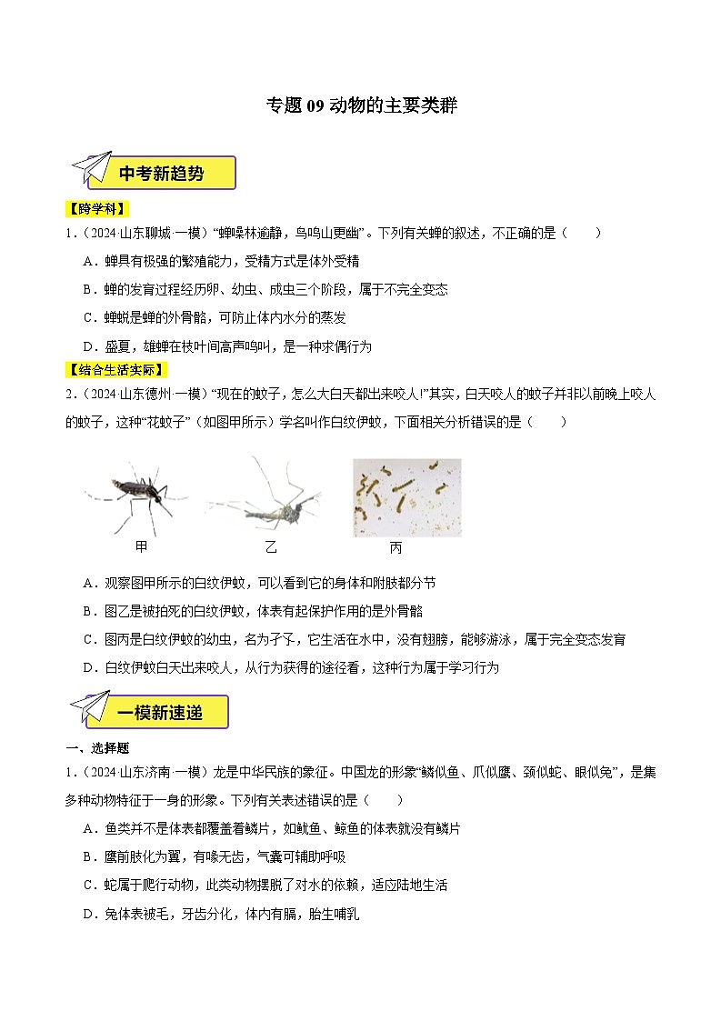 2024年山东省中考生物一模试题分类汇编-专题09 动物的主要类群（原卷版）第1页