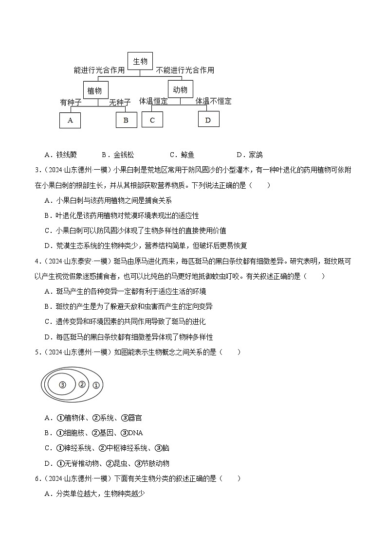 2024年山东省中考生物一模试题分类汇编-专题12 生物的多样性及其保护（原卷版）第2页