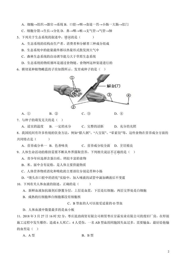 2024年中考考前最后一套押题卷：生物（全国通用）（考试版）02