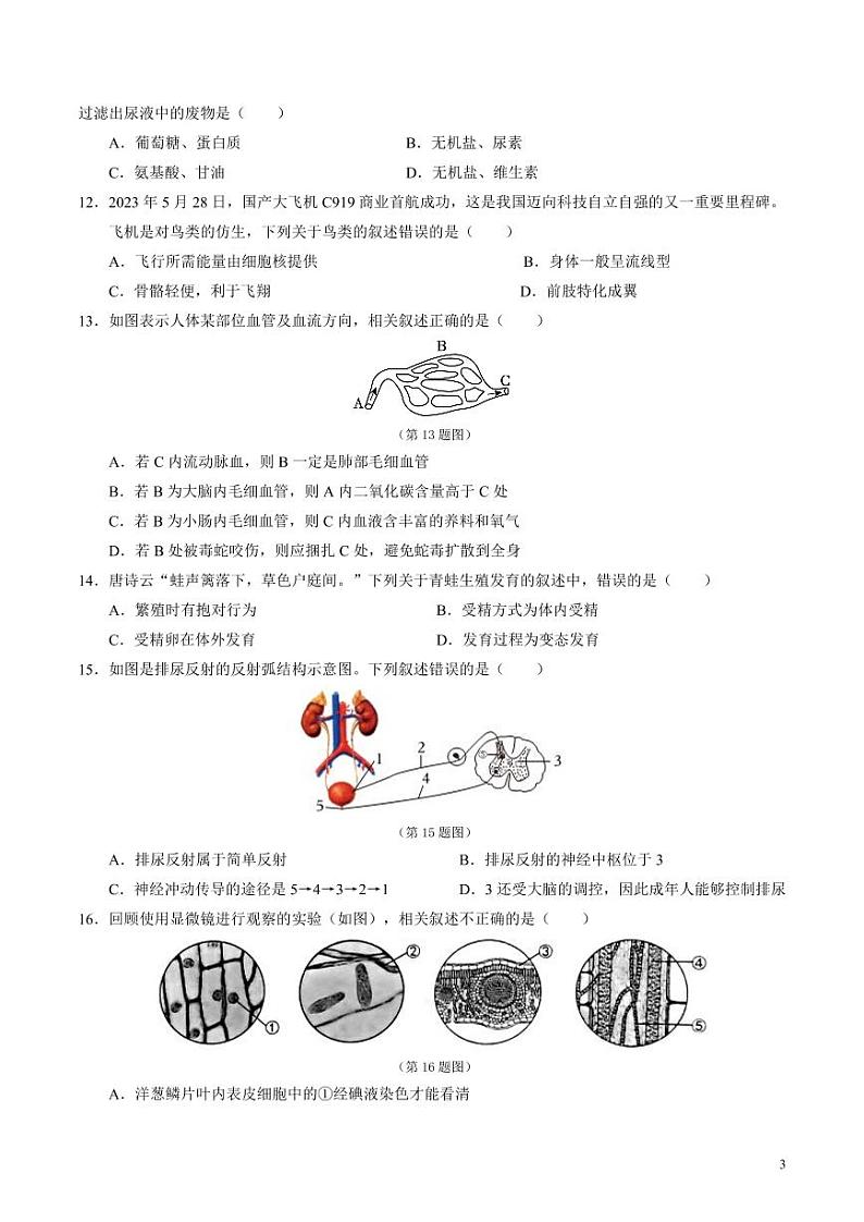 2024年中考押题预测卷（济南卷）生物（考试版）第3页