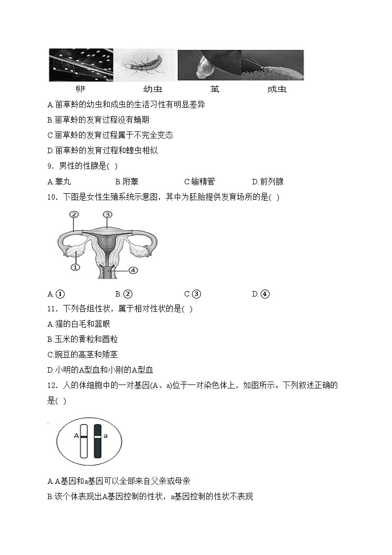 河北省邢台市任泽区第一中学2023-2024学年八年级3月月考生物试卷(含答案)02