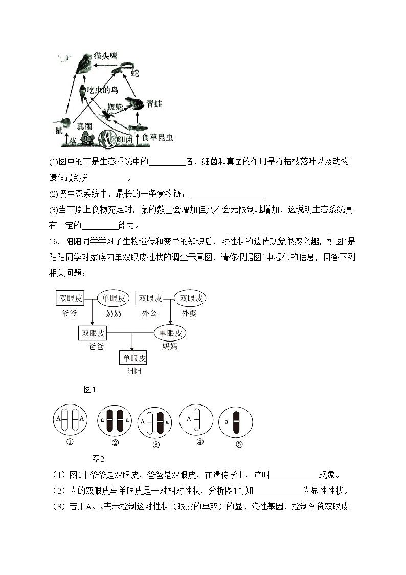 辽宁省铁岭市昌图县2023-2024学年八年级下学期4月期中考试生物试卷(含答案)03