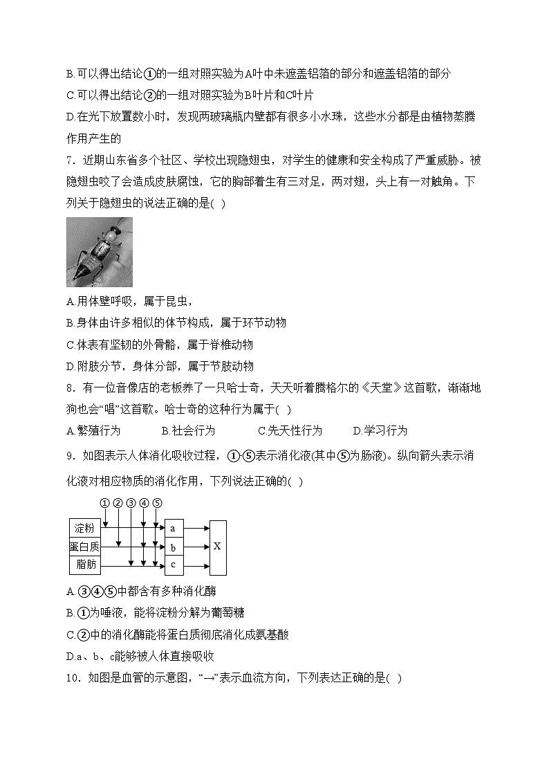 山东省德州市夏津县2024年中考一模生物试卷(含答案)03