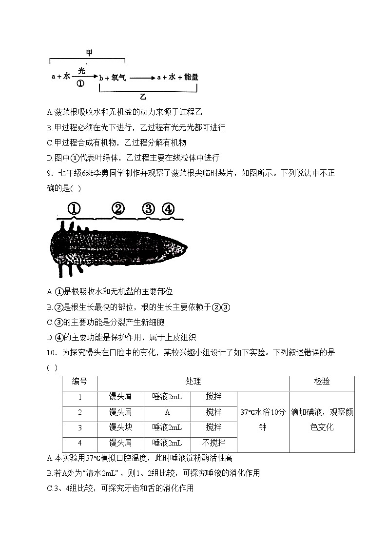 山东省济宁市兖州区2024届九年级下学期中考一模生物试卷(含答案)03