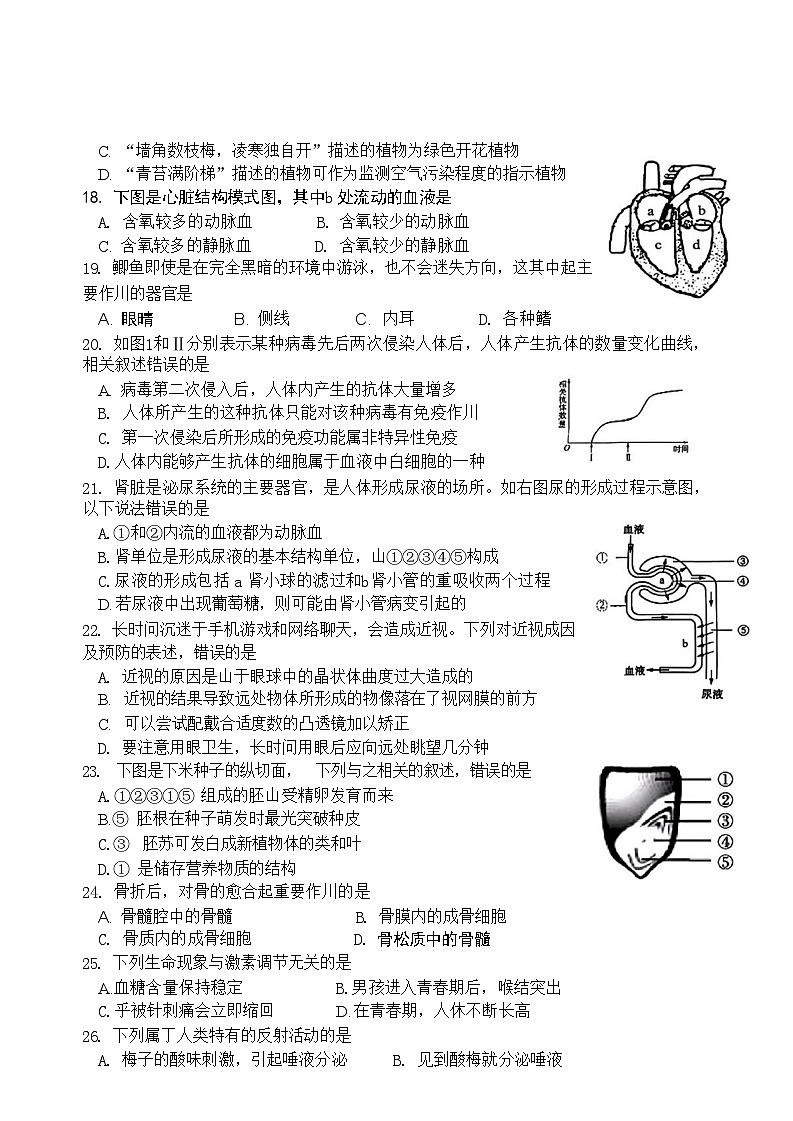 2024年江苏省宿迁市泗阳县中考二模考试生物试题03