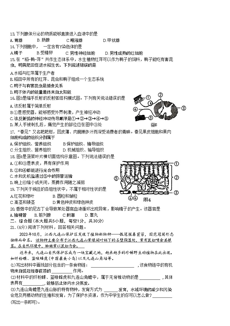 2024年江西省赣州市中考二模考试生物试题02