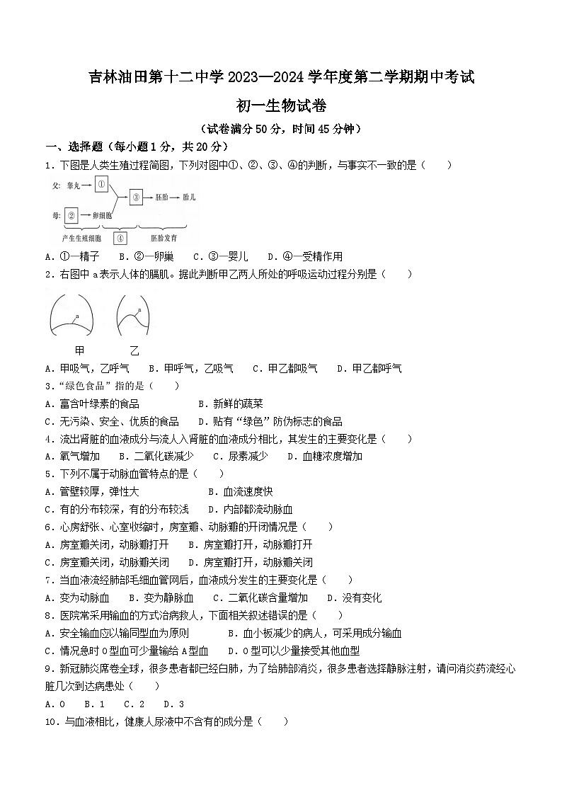 吉林省油田第十二中学2023—2024学年七年级下学期期中考试生物试卷第1页
