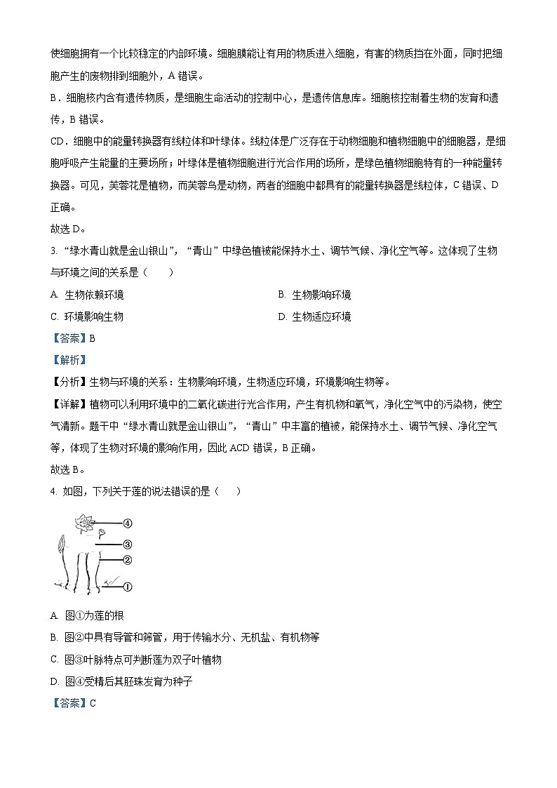 2024年广东省普宁市中考一模生物试题（原卷版+解析版）02
