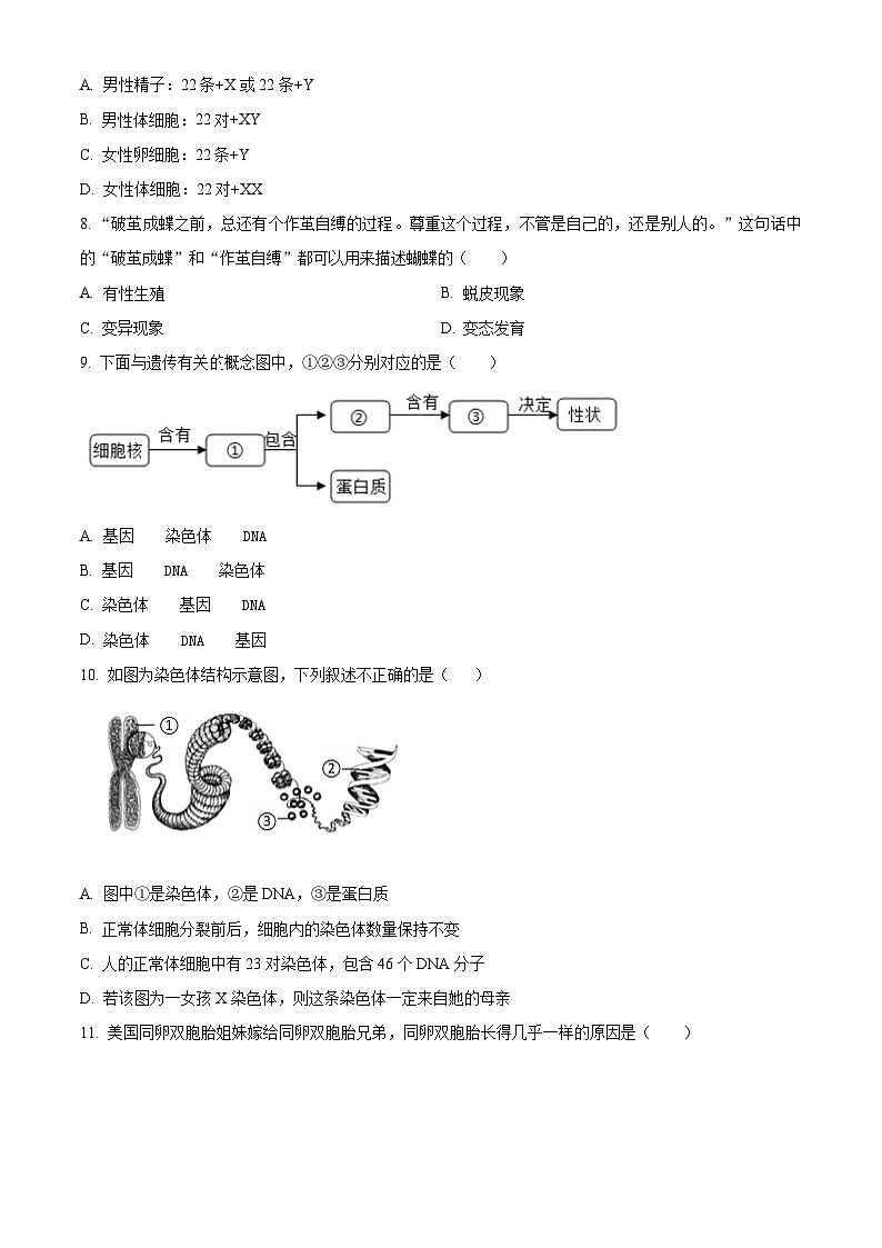 江西省抚州市金溪县第一中学2023-2024学年八年级下学期期中生物试题（原卷版+解析版）02