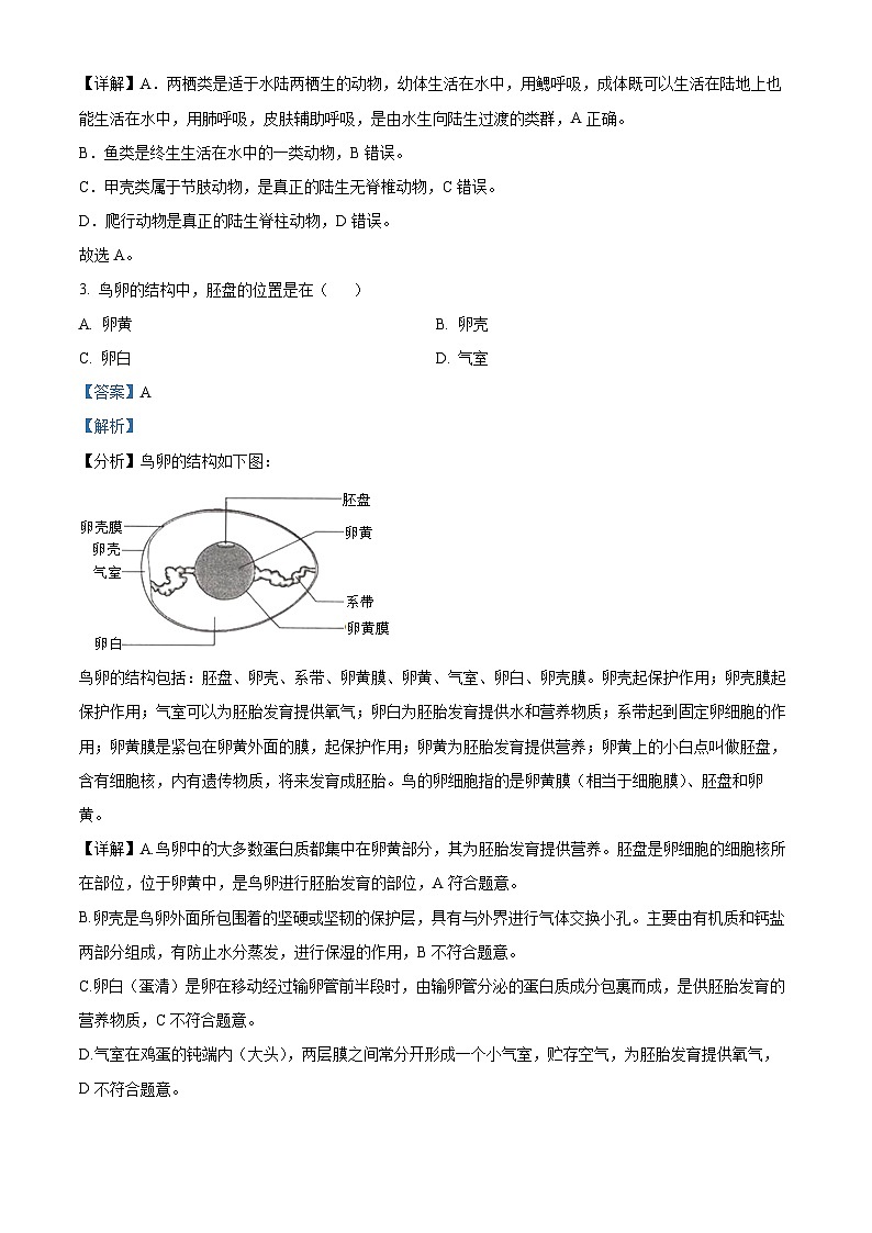 江西省抚州市金溪县第一中学2023-2024学年八年级下学期期中生物试题（原卷版+解析版）02