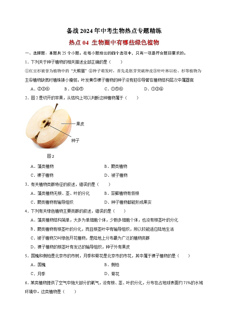 热点04 生物圈中有哪些绿色植物-备战2024年中考生物热点专题精练01