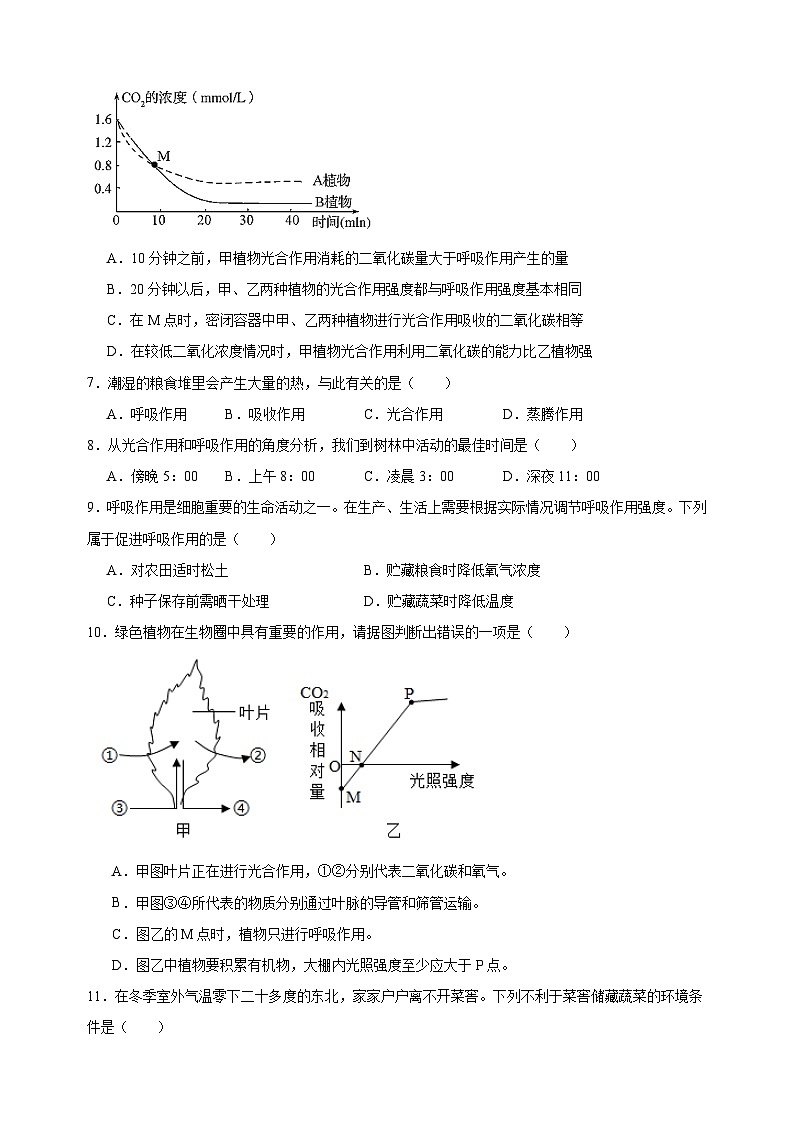 热点08 绿色植物的呼吸作用-备战2024年中考生物热点专题精练02