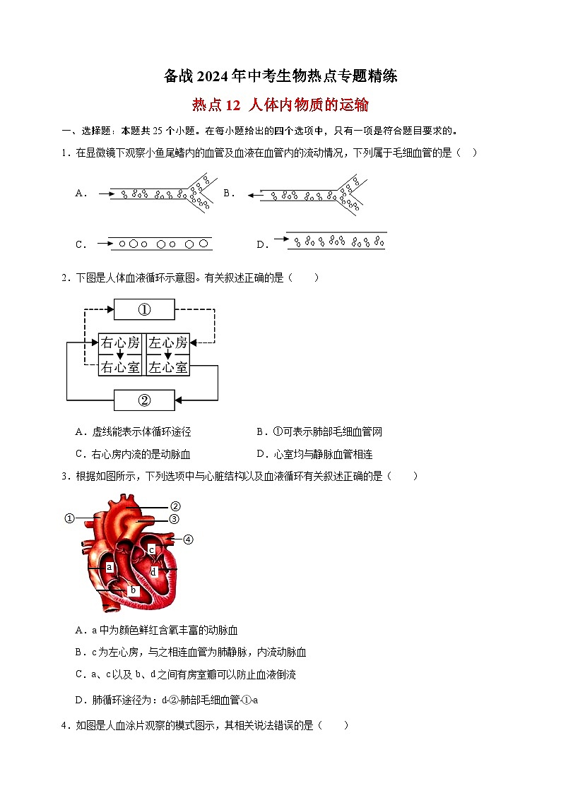 热点12 人体内物质的运输-备战2024年中考生物热点专题精练第1页