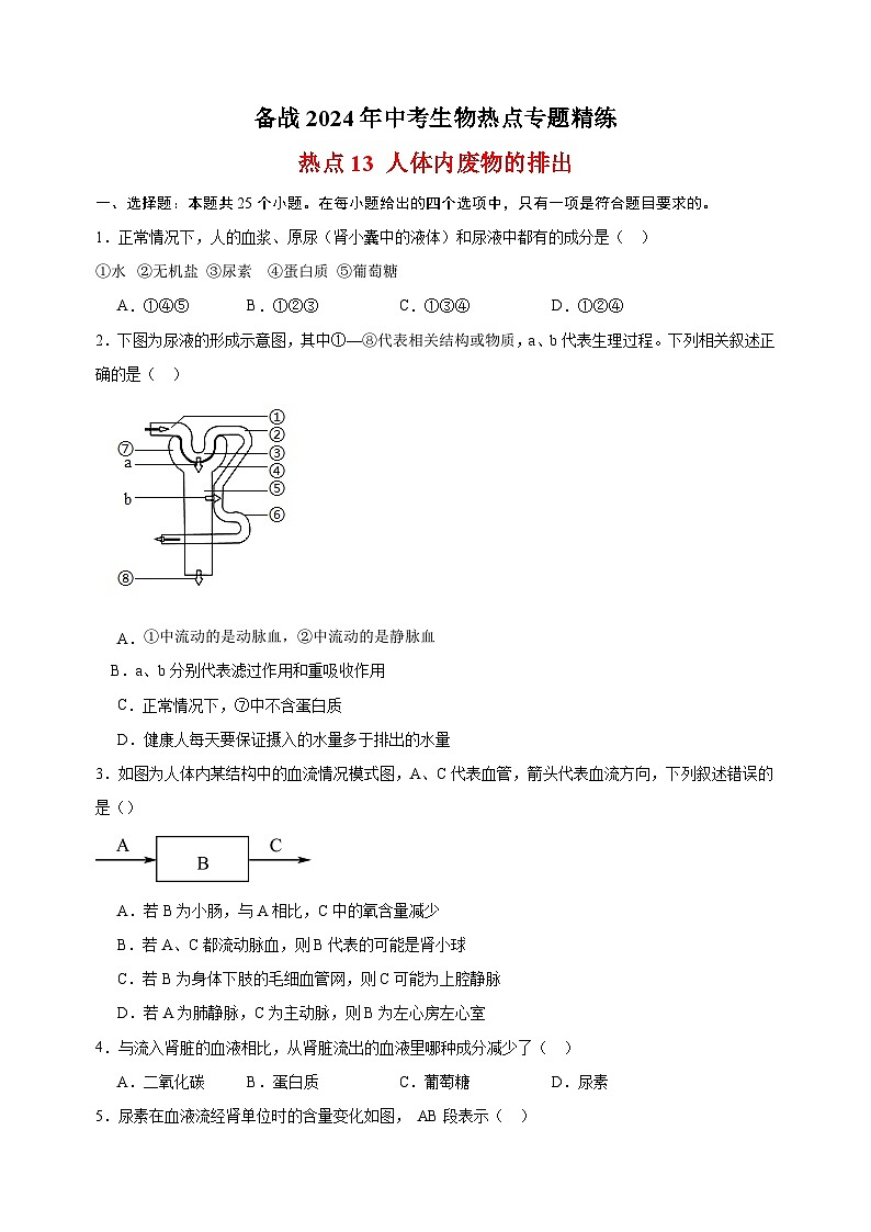 热点13 人体内废物的排出-备战2024年中考生物热点专题精练01