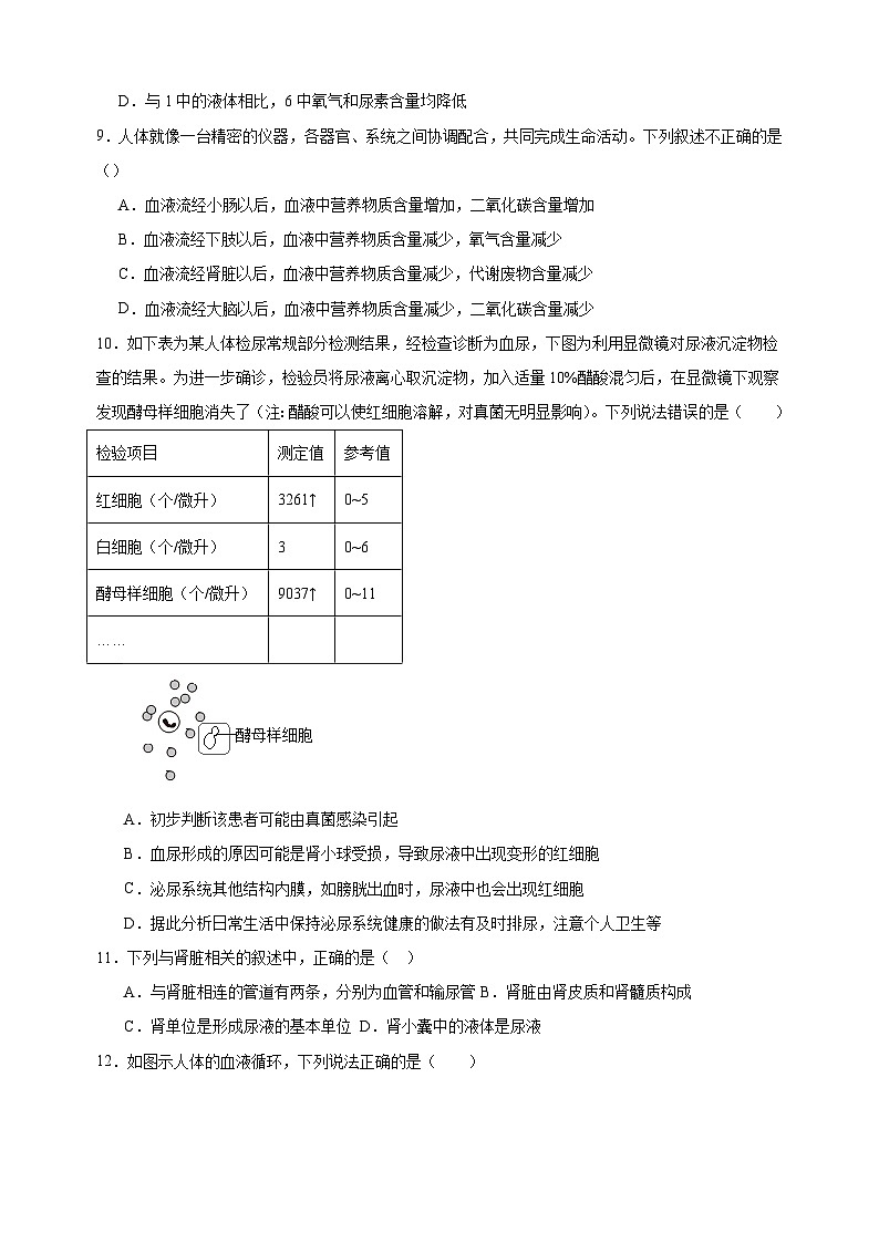热点13 人体内废物的排出-备战2024年中考生物热点专题精练03